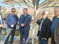 بازدید رئیس دفتر آبزیان آب شیرین سازمان شیلات ایران از مرکز تحقیقات ملی آبزیان آب‌های شور