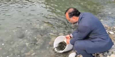 حضور مرکز تحقیقات ماهیان سردآبی کشور در آیین رهاسازی بچه¬ماهیان آزاد در رودخانه چشمه‌کیله تنکابن