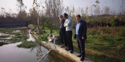 بازدید از مزارع پرورش ماهیان سردآبی و گرمابی  شهرستان‌های محمودآباد و نور