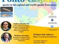 برگزاری وبینار بین المللی