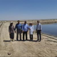 بازدید از سایت پرورش آرتمیا در مجتمع فسندوز شهرستان چهاربرج