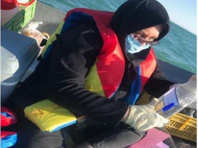 ادامه گشت تحقیقاتی پایش آب‌های ساحلی بندرعباس و تصفیه‌خانه شهر بندرعباس