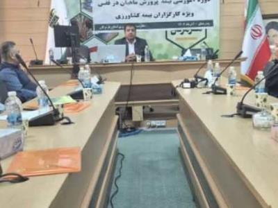 مشارکت پژوهشکده اکولوژی خلیج فارس و دریای عمان در برگزاری دوره آموزشی بیمه پرورش ماهیان در قفس  ویژه کارگزاران بیمه کشاورزی