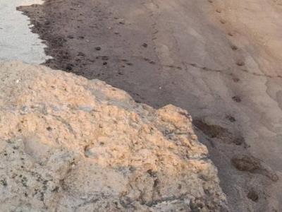 بررسی میدانی وکارشناسی آثار آلودگی مشکوک به مواد نفتی در سواحل قشم