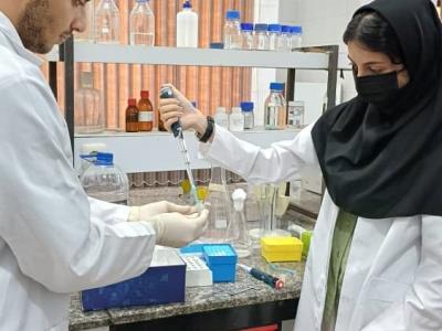 برگزاری کارگاه آموزشی «استخراج DNA از آبزیان» در پژوهشکده اکولوژی خلیج‌ فارس و دریای عمان به مناسبت هفته پژوهش