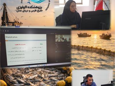 برگزاری جلسه وبیناری با محوریت ایجاد ارزش افزوده از باقی‌مانده‌های خام فرآوری تن‌ماهیان