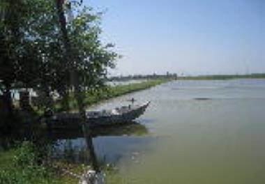 انتخاب مزرعه نمونه پرورش ماهیان گرم آبی استان مازندران