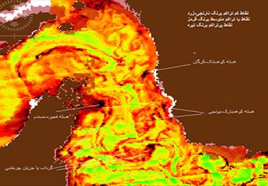 گزارش پایش ماهواره ای وضعیت کلروفیل a در آبهای سطحی شمال غرب دریای عمان - تنگه هرمز