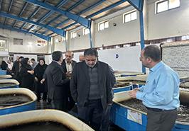 بررسی ظرفیت‌های راهبردی انستیتو تحقیقات بین‌المللی ماهیان خاویاری با هدف ارتقای بهره‌وری صنعت آبزی‌پروری