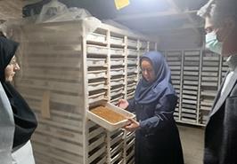 بازدید رئیس مرکز تحقیقات ذخایر آبزیان آب‌های داخلی گرگان از شرکت زیست‌فناوری ورجاوند هیرکان