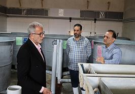 بررسی امکان تکثیر ماهی آزاد دریای خزر در مزارع پرورش ماهی عباس‌آباد