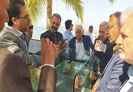 حضور فعال مرکز تحقیقات شیلاتی آب‌های دور چابهار در برنامه تلویزیونی «ایران جان»