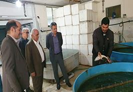 ارزیابی فنی ایستگاه قره‌سو و بررسی میدانی روند پرورش و فرآوری میگوی گمیشان