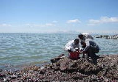 آخرین وضعیت دریاچه ارومیه در سال 1395