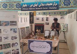 معرفی دستاوردهای پژوهشی مرکز تحقیقات شیلاتی آب‌های دور چابهار در دانشگاه آزاد اسلامی