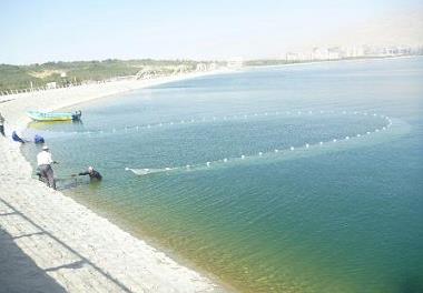مطالعات آبزی پروری دریاچه چیتگر با هدف حفظ کیفیت آب 