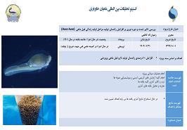 گزارش عملکرد 6 ماهه اول انستیتو بین المللی تحقیقات ماهیان خاویاری در سال جاری