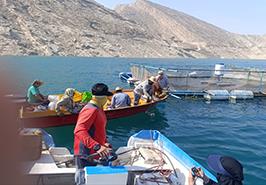 نخستین مرحله پایش کیفی آب و رسوبات سد مارون بهبهان انجام شد