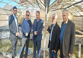 بازدید رئیس دفتر آبزیان آب شیرین سازمان شیلات ایران از مرکز تحقیقات ملی آبزیان آب‌های شور