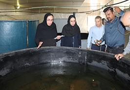 سفرهای استانی، گامی کلیدی در رفع موانع زیرساختی و اعتباری پژوهش‌های شیلاتی جنوب کشور