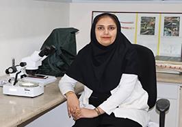 پژوهشکده اکولوژی خلیج فارس و دریای عمان طرح «پهنه‌بندی زیست‌گاه‌های حساس» را اجرا می‌کند