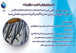 بررسی وضعیت ذخایر ماهی شیر در آب‌های جنوبی کشور در نشست تخصصی مجازی