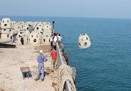 چگونگی استقرار زیستگاه‌های مصنوعی در سواحل هرمزگان