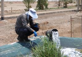 اجرای پروژه شناسایی مناطق مستعد توسعه تولید آرتمیا در استان یزد