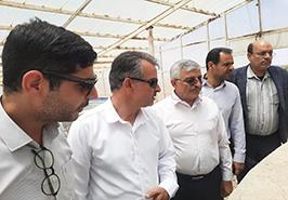 رئیس سازمان جهاد کشاورزی یزد از مرکز تحقیقات ملی آبزیان آب‌های شور بازدید کرد