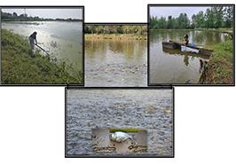 دستیابی به فناوری تکثیر میکروجلبک‌های بومی گیلان