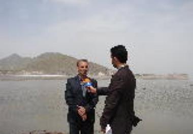  آخرین وضعیت آرتمیا در پی افزایش 95 سانتی آب دریاچه ارومیه