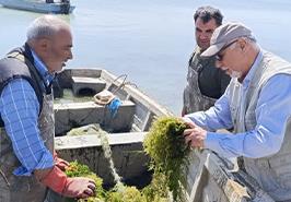 چالش گیاهان مزاحم در منابع آبی آذربایجان غربی و ارائه راهکارهای علمی برای مدیریت آن