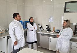 بازدید تخصصی از مزارع پرورش میگوی بندرعباس با تمرکز بر امنیت زیستی و مدیریت بهداشتی