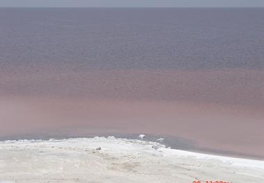 دلایل سرخ شدن (خونی شدن) دریاچه ارومیه