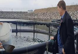 بازدید از سایت اجرای پروژه امکان سنجی پرورش ماهی در قفس