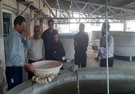 بازدید از مرکز تحقیقات شیلاتی آبهای دور_ چابهار