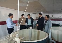 بازدید مدیرکل دفتر بازسازی ذخایر آبزیان سازمان شیلات ایران از کارگاه آبزی‌پروری مرکز تحقیقات شیلاتی آبهای دور_  چابهار