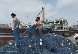 دیدار تیم تحقیقاتی پروژه تون ماهیان با صیادان بریس و پسابندر