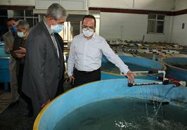 رئیس پژوهشکده بیوتکنولوژی  کشور، از انستیتو تحقیقات بین المللی ماهیان خاویاری بازدید کرد
