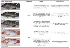 انتشار مقاله علمی درباره عملکرد تولیدمثلی سویه‌های مختلف تیلاپیا در شرایط آب لب‌شور