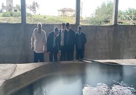 بازدید رئیس موسسه تحقیقات علوم شیلاتی کشور از مزرعه پروش ماهیان خاویاری در روستای قرق شهرستان تالش