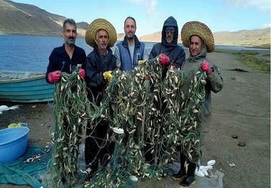 ماهی غیر بومی و مهاجم کاراس عامل بحران زیست محیطی دریاچه نئور اردبیل