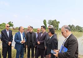 جلسه شورای تحقیقات، آموزش و ترویج كشاورزی و منابع طبیعی استان مازندران