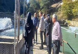 بازدید محققان معین از مزارع پرورش ماهی سردآبی شهرستان چالوس