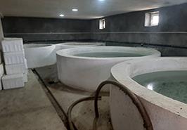 بازدید محققان مرکز تحقیقات آرتمیای کشور از مرکز تخصصی تکثیر و پرورش آرتمیا و ماهیان زینتی بنداد