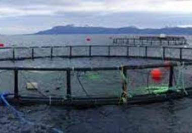 بررسی و معرفی قفس‌های مناسب برای استفاده در پرورش ماهی در منطقه جنوبی دریای خزر