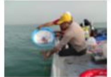 بررسی شرایط زیست‌محیطی و ساختار جوامع آبزیان در محدوده بین بندرعباس و جزایر تنگه هرمز