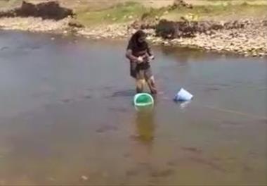 بررسی امکان رها سازی بچه ماهیان خاویاری در رودخانه کرگانرود