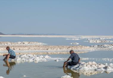 پایش ذخایر آرتمیای دریاچه ارومیه و تعیین ارتباط آن با پارامترهای اکولوژیک