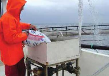 بررسی و تحلیل نوع و روش مناسب تغذیه‏ای در معرفی انواع قفس‏‏های پرورش ماهی در منطقه جنوبی دریای خزر
